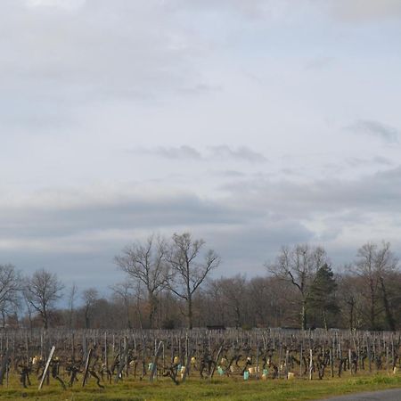Maison Bertineau Proche Saint-Emilion Néac Buitenkant foto