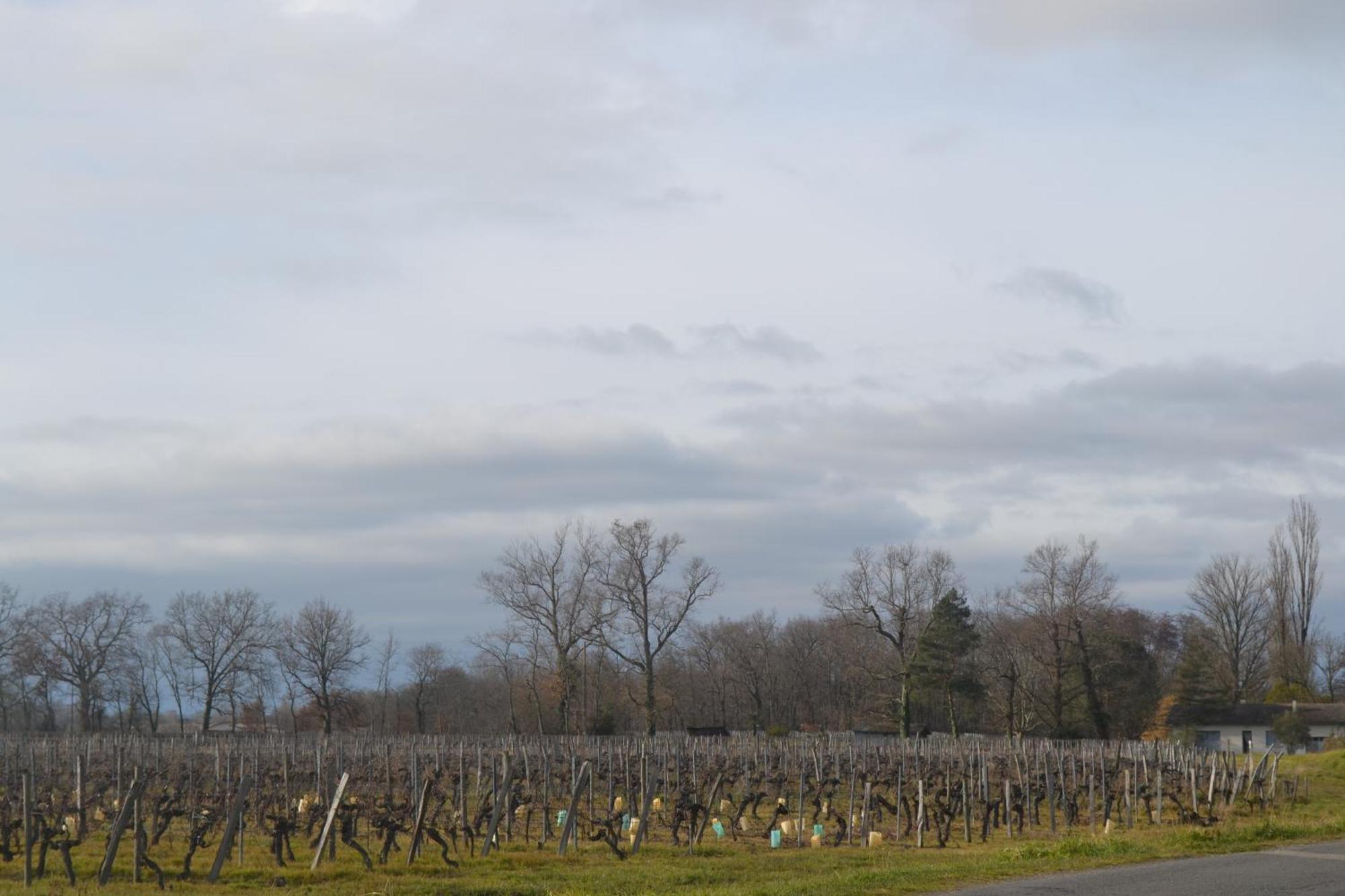 Maison Bertineau Proche Saint-Emilion Néac Buitenkant foto